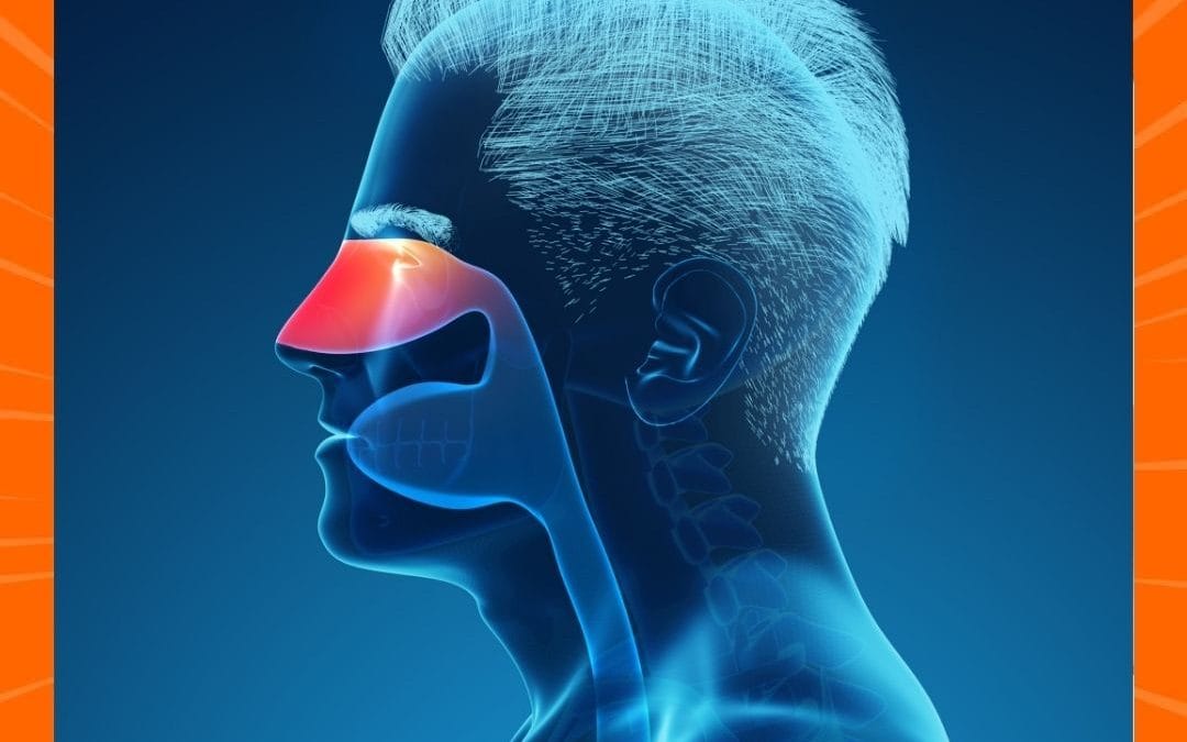 Mengatasi Sinusitis dengan Tepok-Tepok: Solusi Alami untuk Meredakan Nyeri dan Tekanan pada Sinus